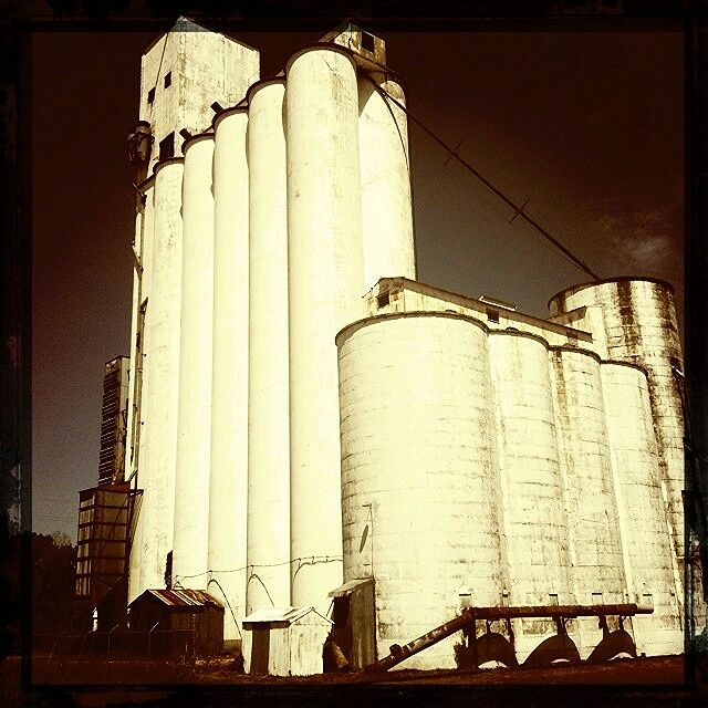 The J.V. Cardiff & Sons rice dryers in a sepia-toned photo