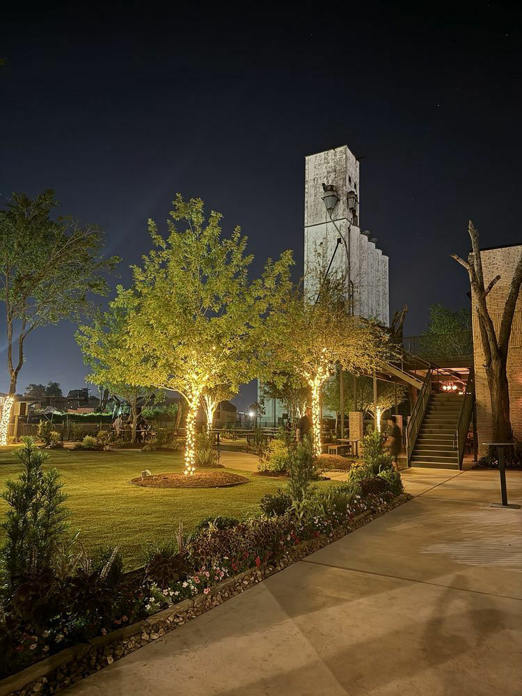 The garden at night with lit trees and the dryer behind